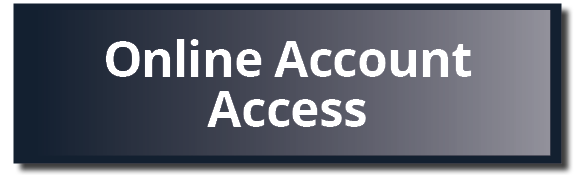 Online Account Access