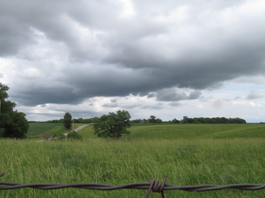 Green pasture on an Illinois farm.
